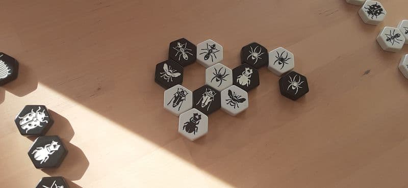 Couverture du jeu Hive