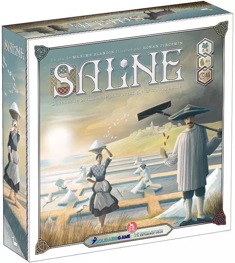 Couverture du jeu Saline