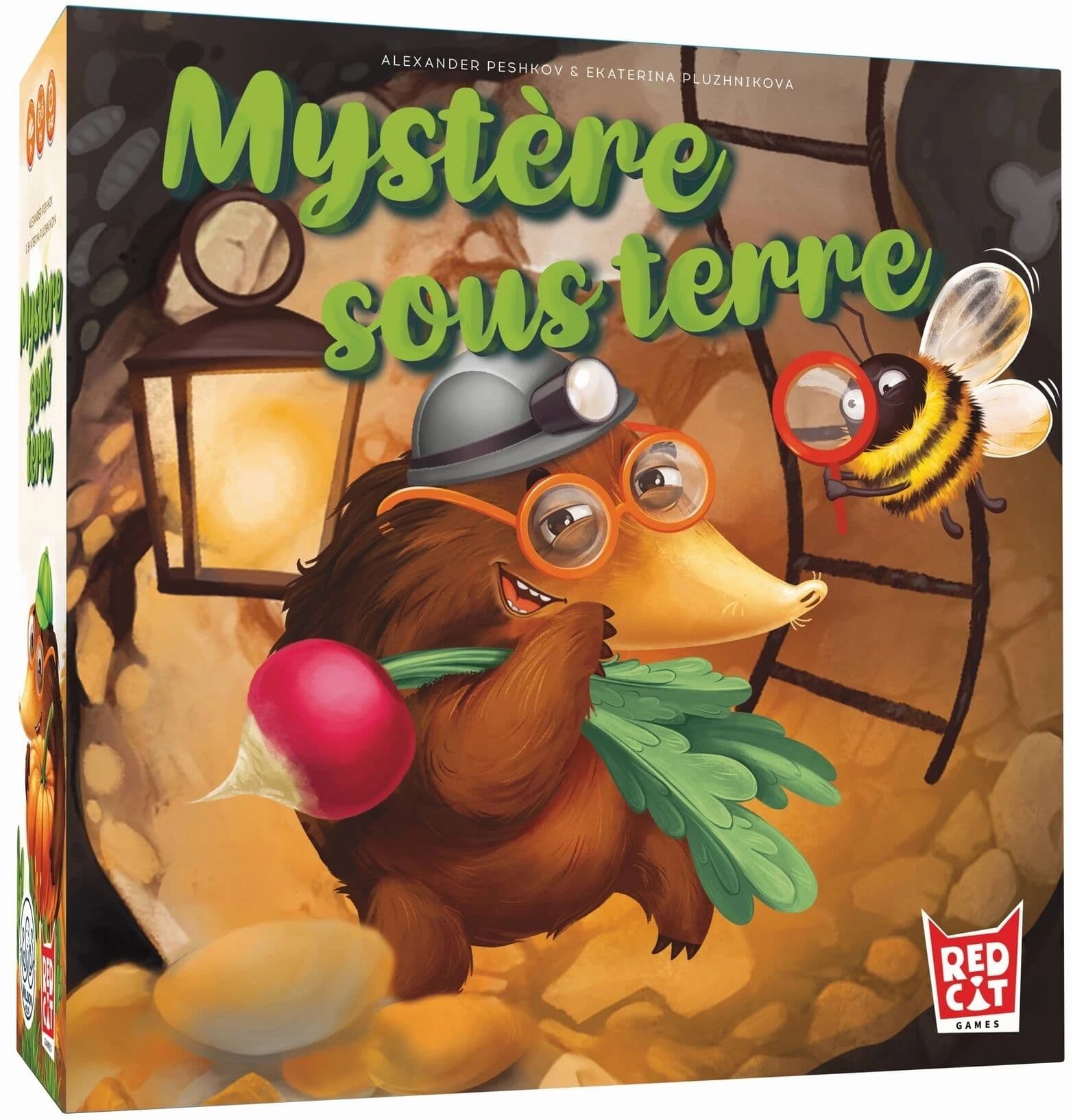 Couverture du jeu Mystère Sous Terre